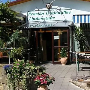 Lindenallee , Neuendettelsau Deutschland
